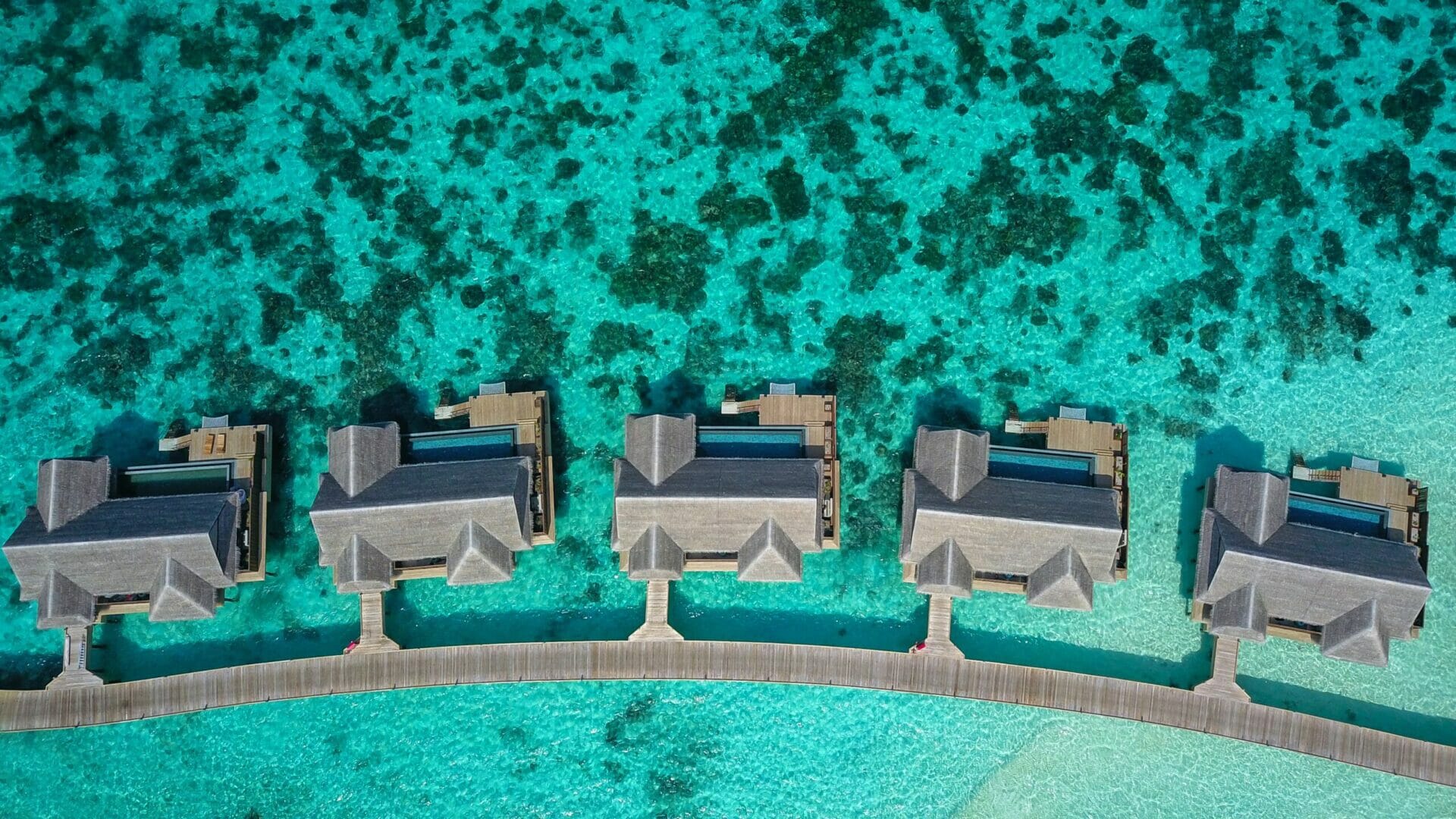 Take a “vaxcation” to the Maldives