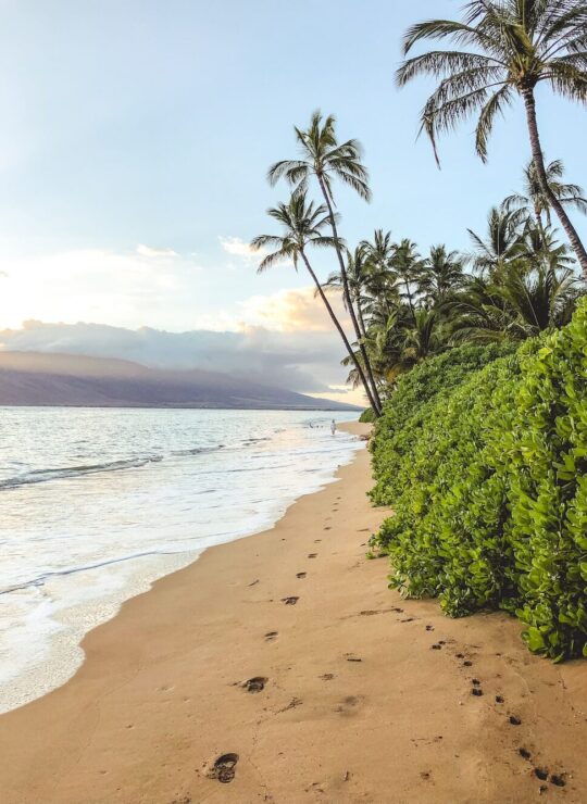 Maui